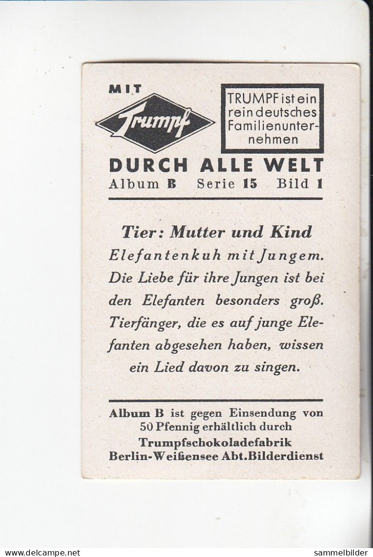 Mit Trumpf Durch Alle Welt Tier Mutter Und Kind  Elefantenkuh Mit Jungem   B Serie 15 #1 Von 1933 - Zigarettenmarken