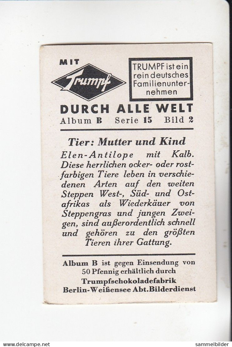 Mit Trumpf Durch Alle Welt Tier Mutter Und Kind  Elen - Antilope Mit Kalb    B Serie 15 #2 Von 1933 - Zigarettenmarken