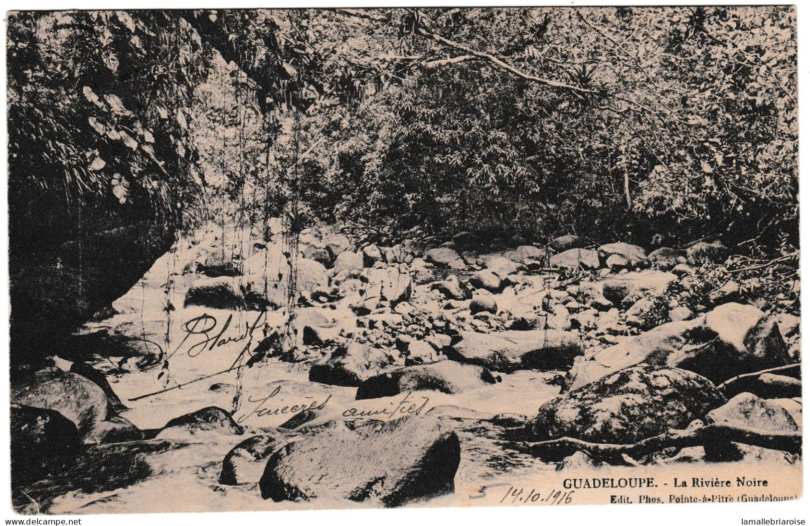 Guadeloupe, Cachet Bureau De Recrutement De La Guadeloupe Sur Carte De Basse-Terre, Verso: Riviere Noire - Storia Postale