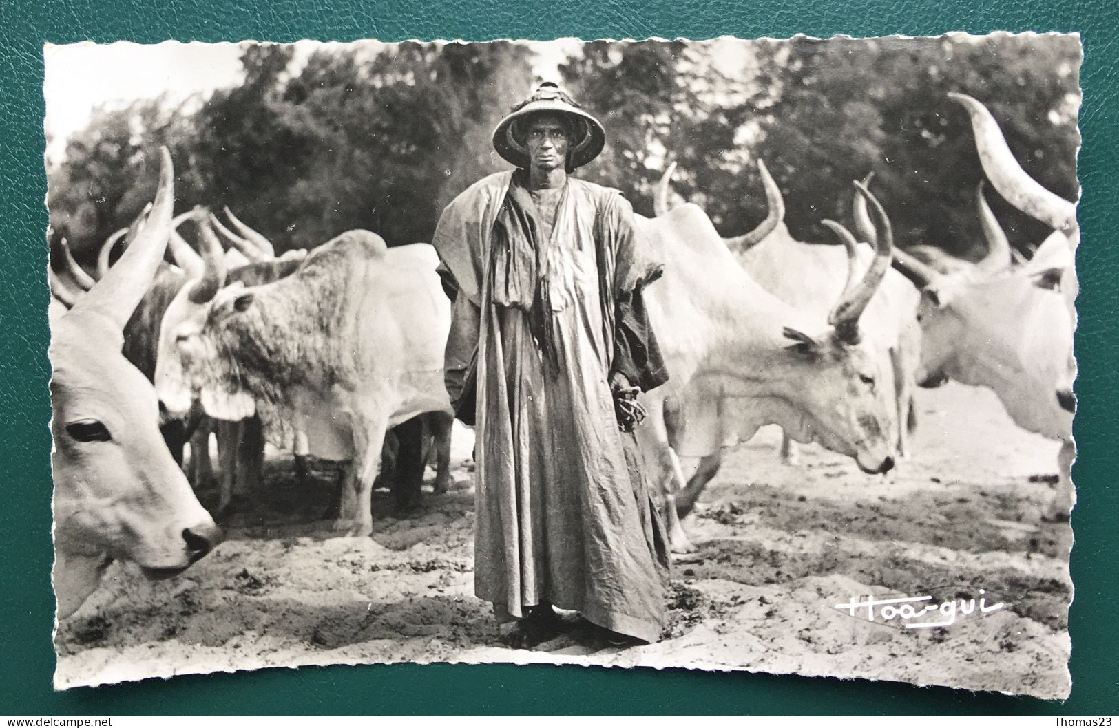 Le Bouvier, Lib "Au Messager", N° 693 - Camerún