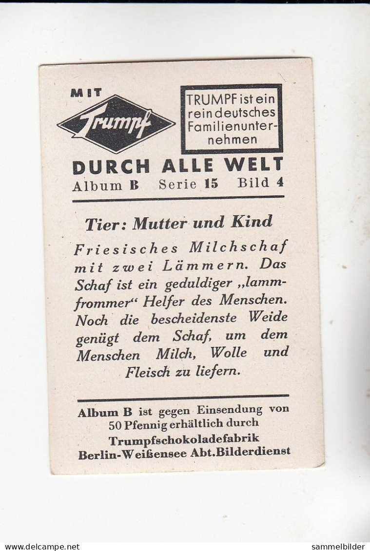 Mit Trumpf Durch Alle Welt Tier Mutter Und Kind Friesisches Milchschaf Mit Zwei Lämmern    B Serie 15 #4 Von 1933 - Sigarette (marche)