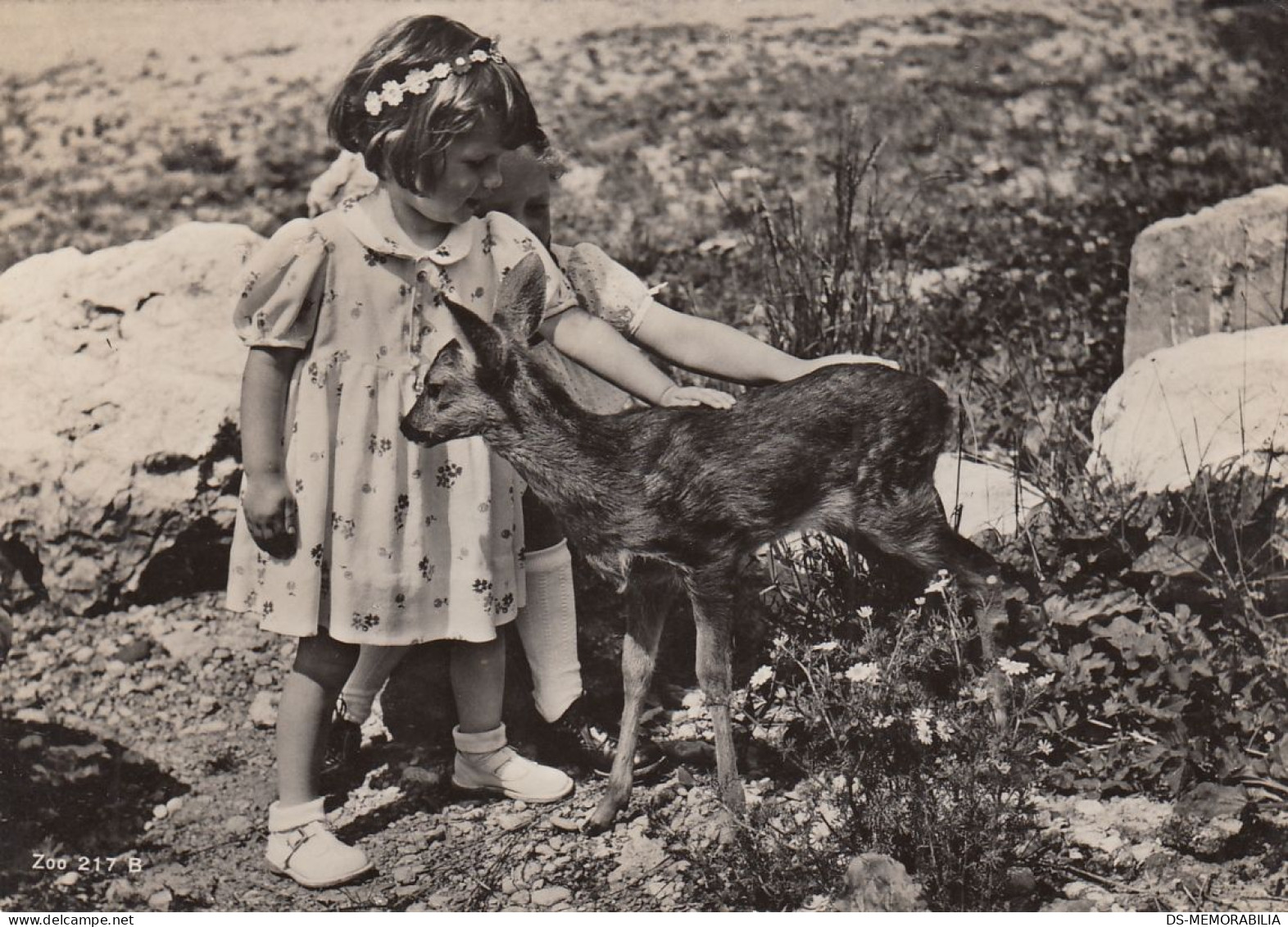 Zürich - Zoo Garten , Rehkitz 1948 - Zürich