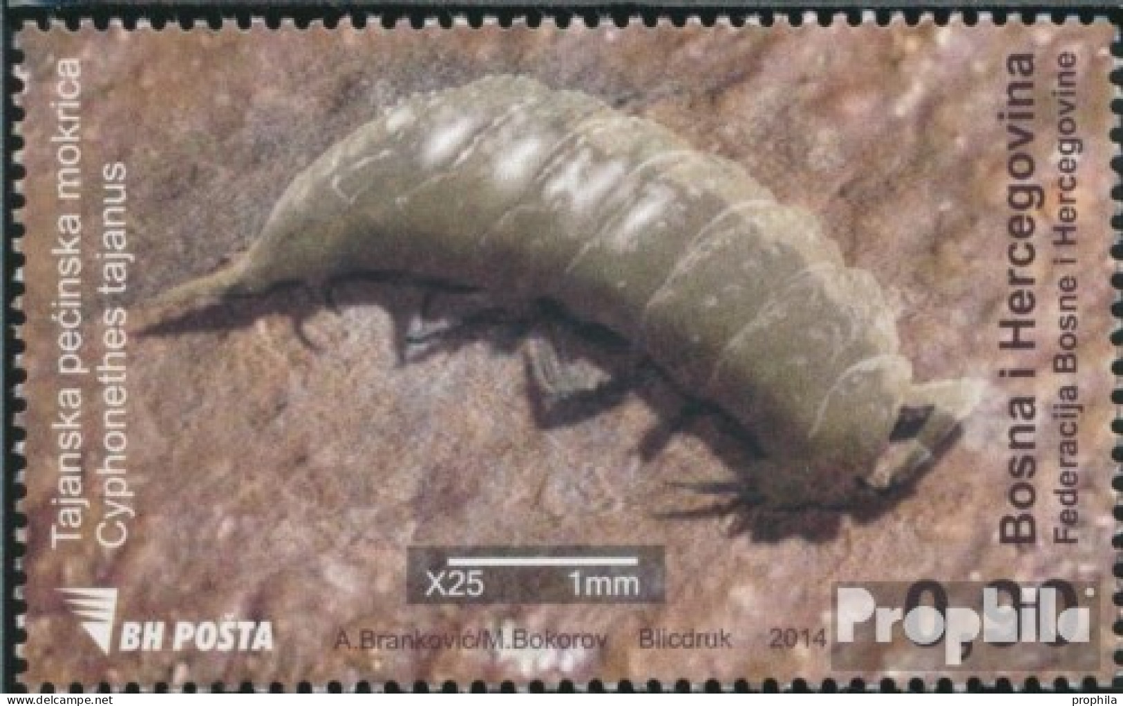 Bosnien-Herzegowina 655 (kompl.Ausg.) Postfrisch 2014 Fauna - Bosnie-Herzegovine