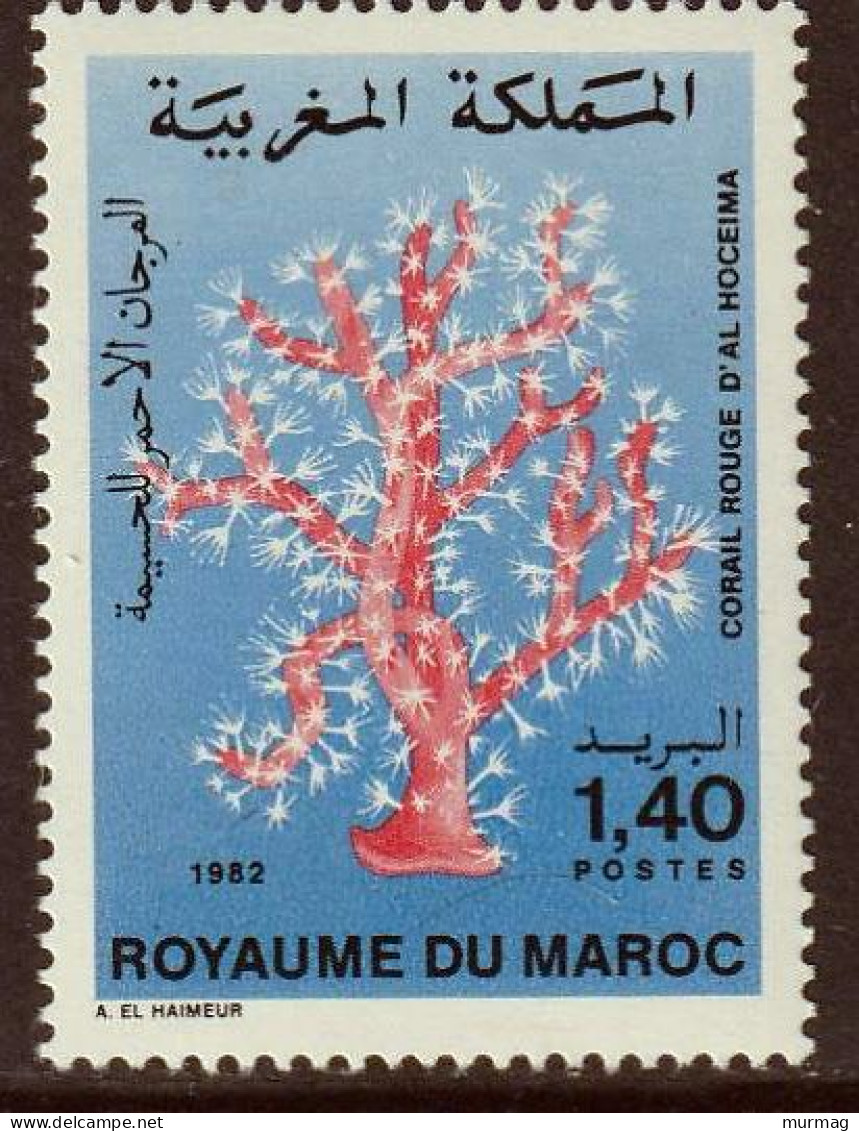 MAROC - Flore Marine - Corail - Y&T N° 935 - 1982 - MNH - Marokko (1956-...)