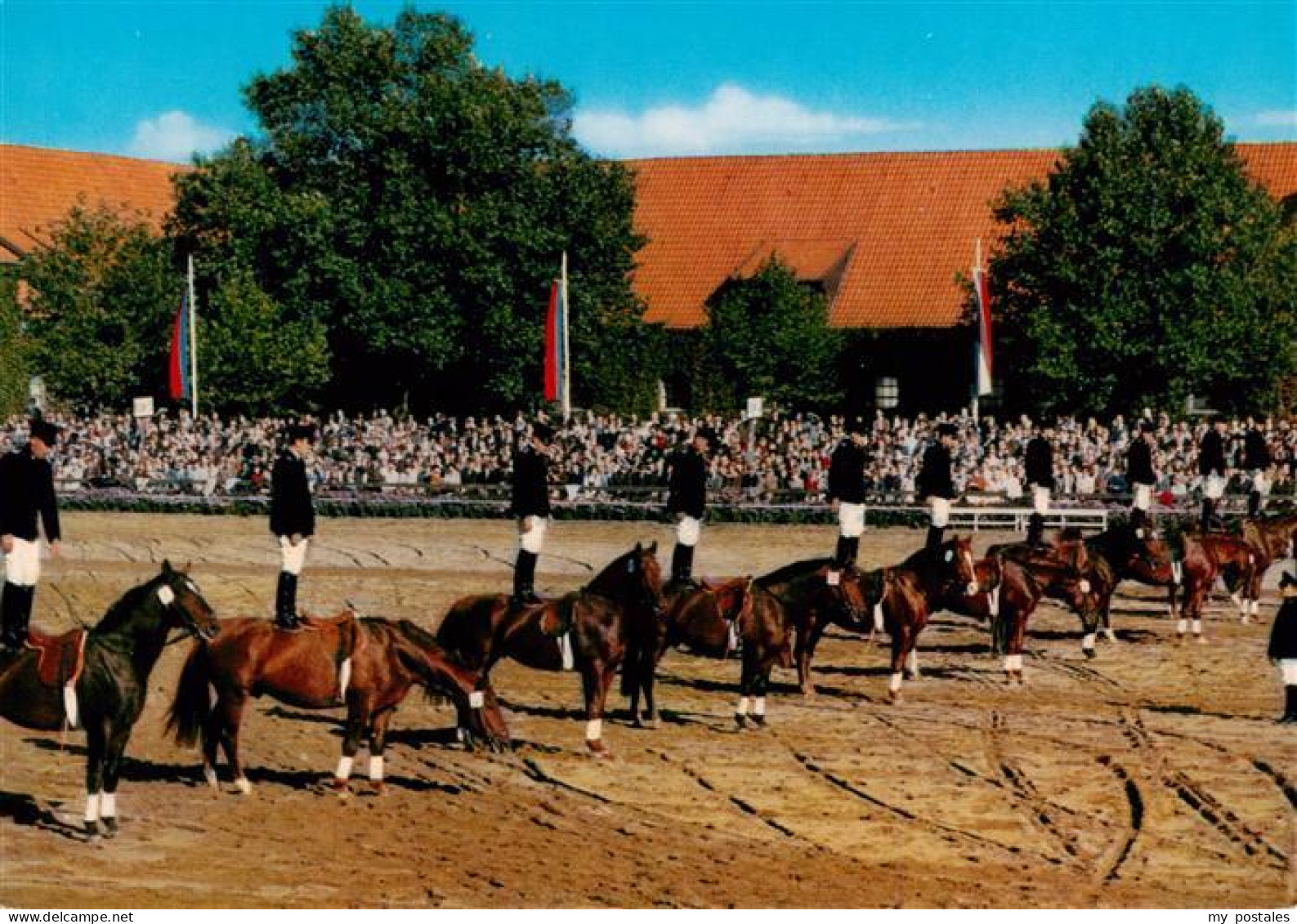 73938735 Warendorf Hengstparade Nordrhein-Westfaelisches Landgestuet - Warendorf