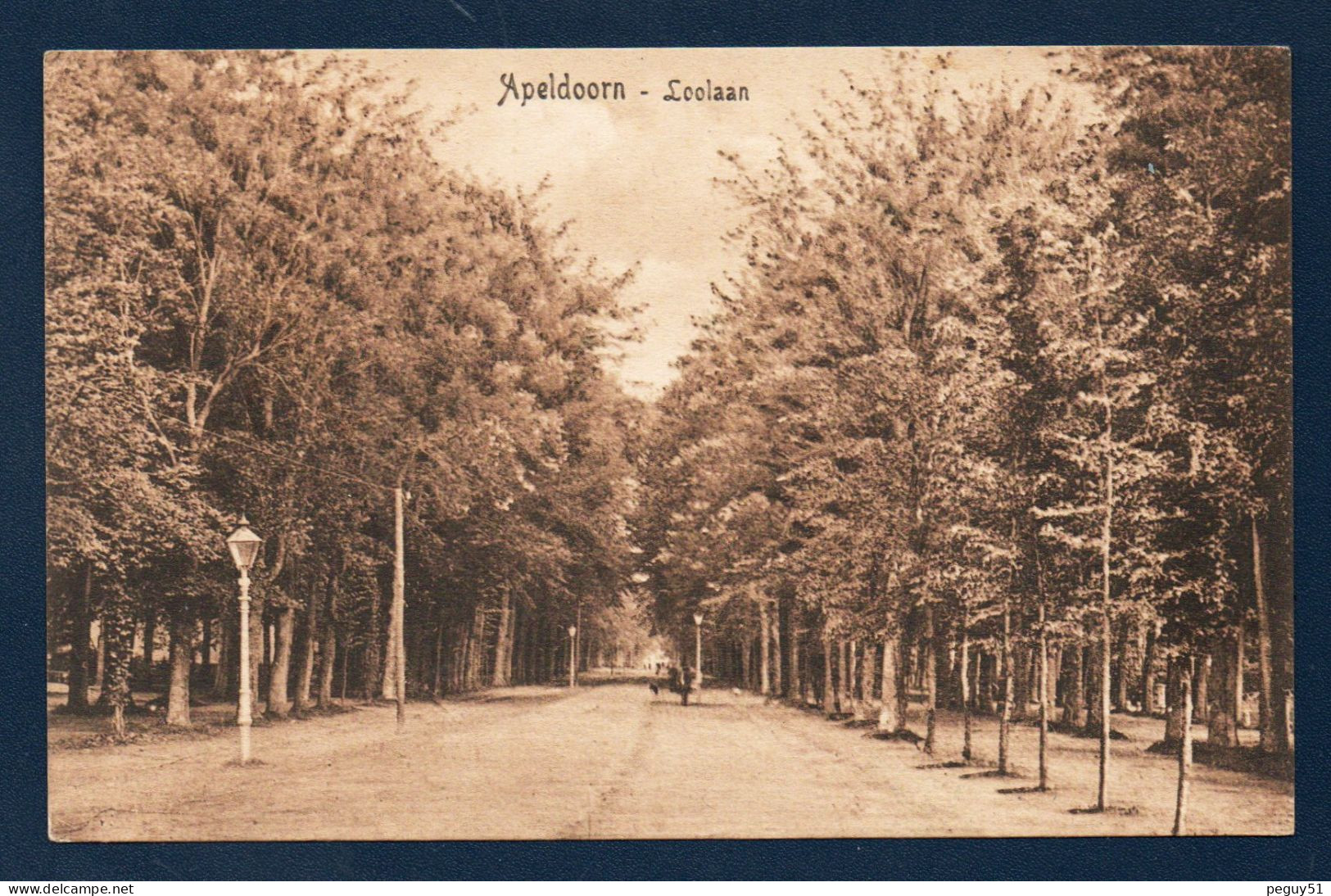 Appeldoorn. Loolaan. Allée Est Partant Du Palais Royal. (1735). - Apeldoorn