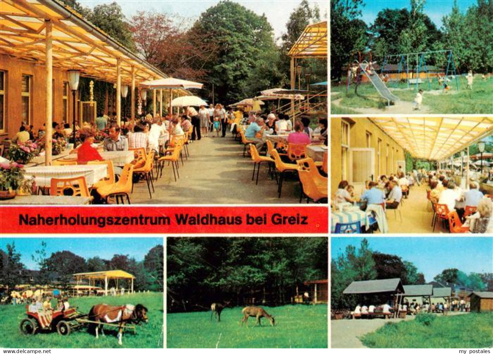 73938584 Waldhaus_Greiz Naherholungszentrum Freiterrasse Spielplatz Ponykutsche  - Greiz