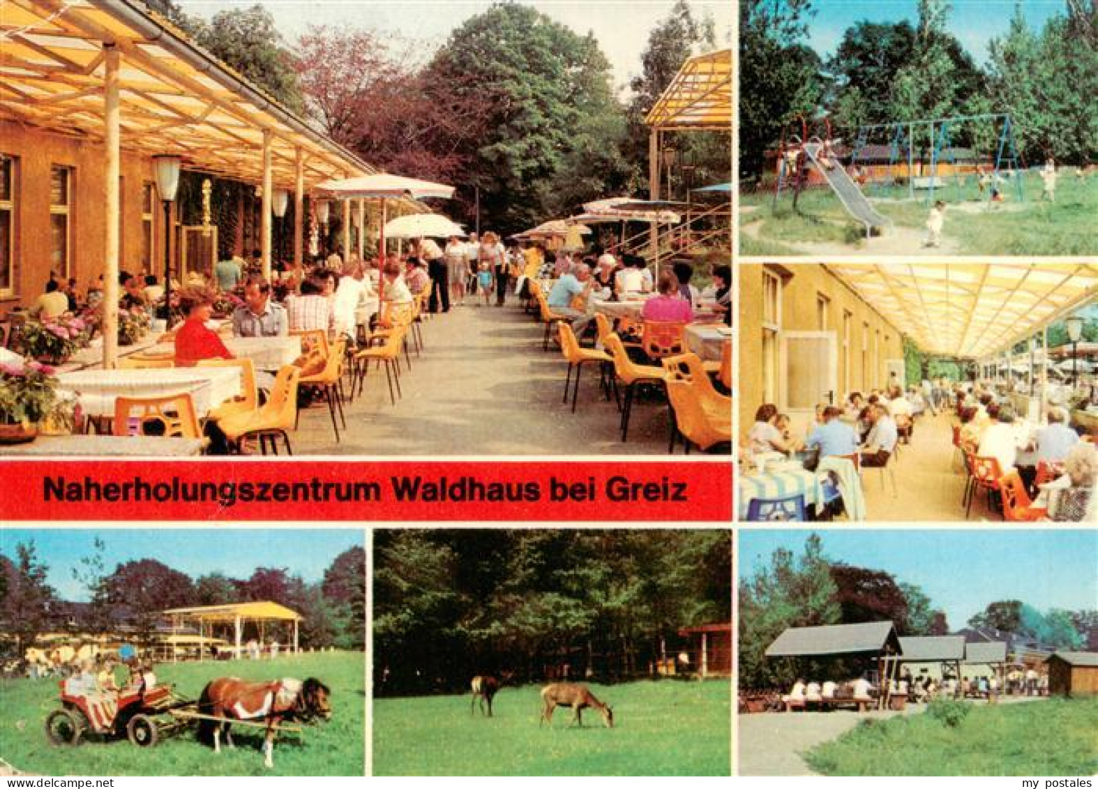 73938583 Waldhaus_Greiz Naherholungszentrum Freiterrasse Spielplatz Ponykutsche  - Greiz
