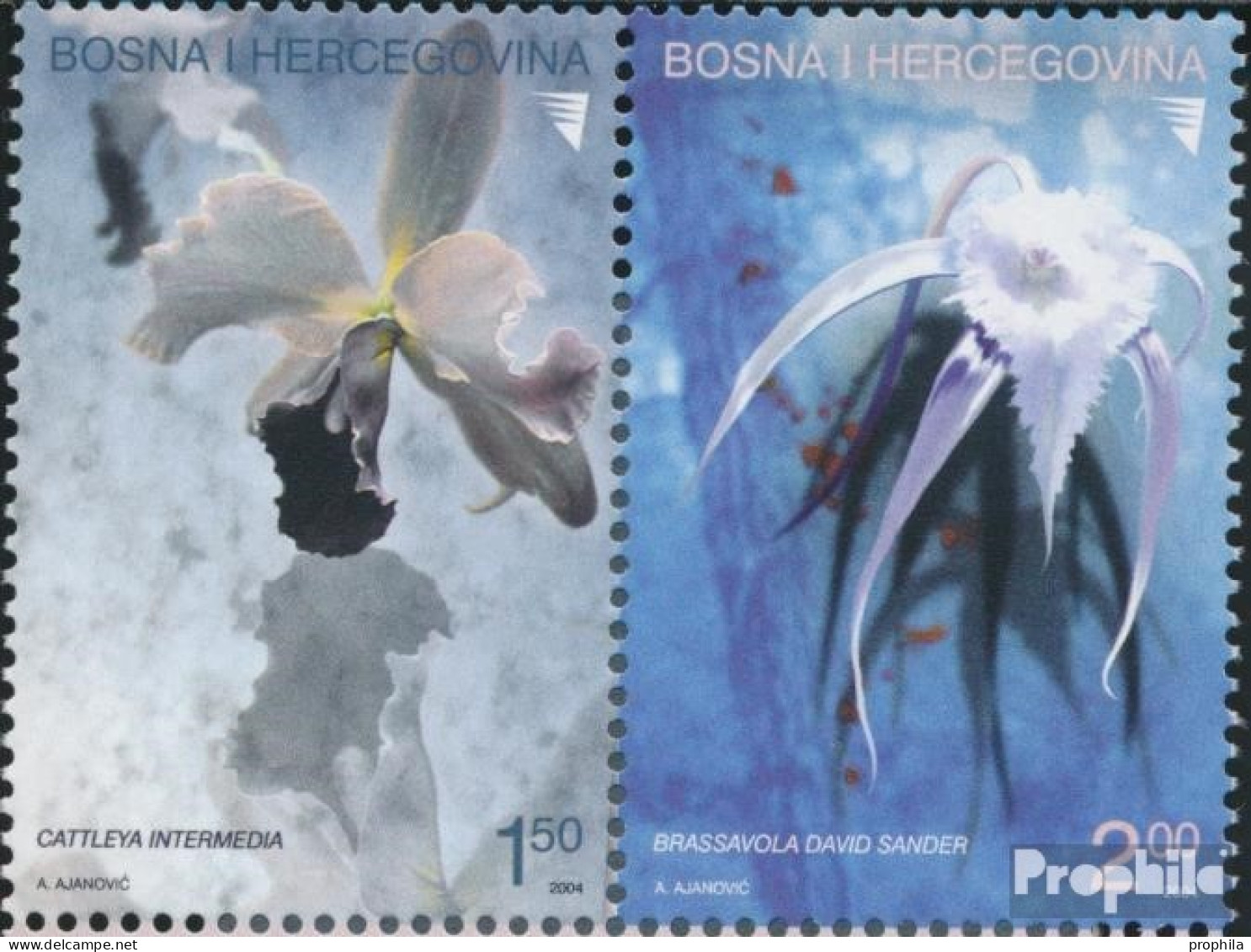 Bosnien-Herzegowina 340-341 Paar (kompl.Ausg.) Postfrisch 2004 Orchideen - Bosnien-Herzegowina