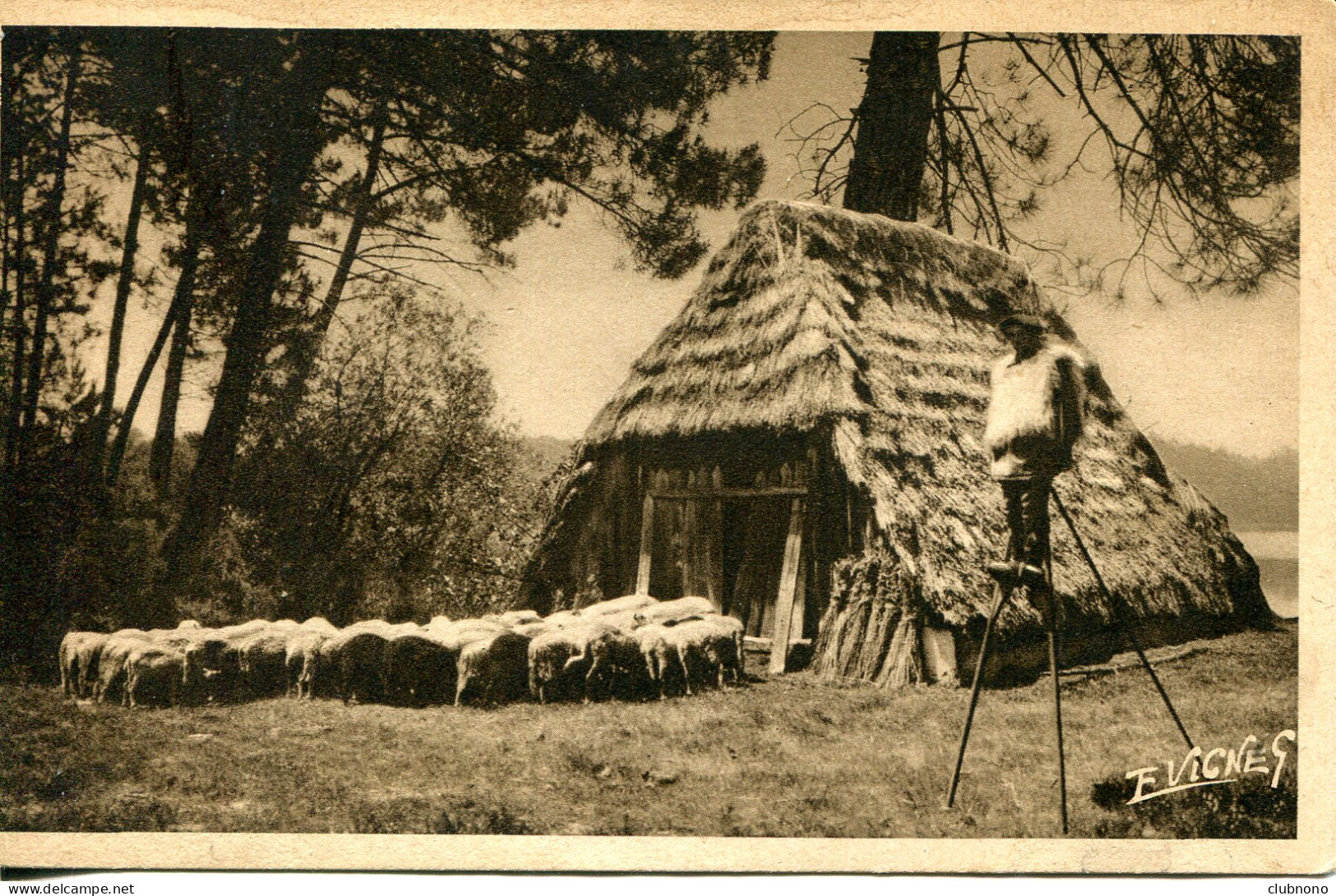 CPA -  EN GUYENNE-GASCOGNE - BERGER LANDAIS - RETROSPECTIVE - Viehzucht