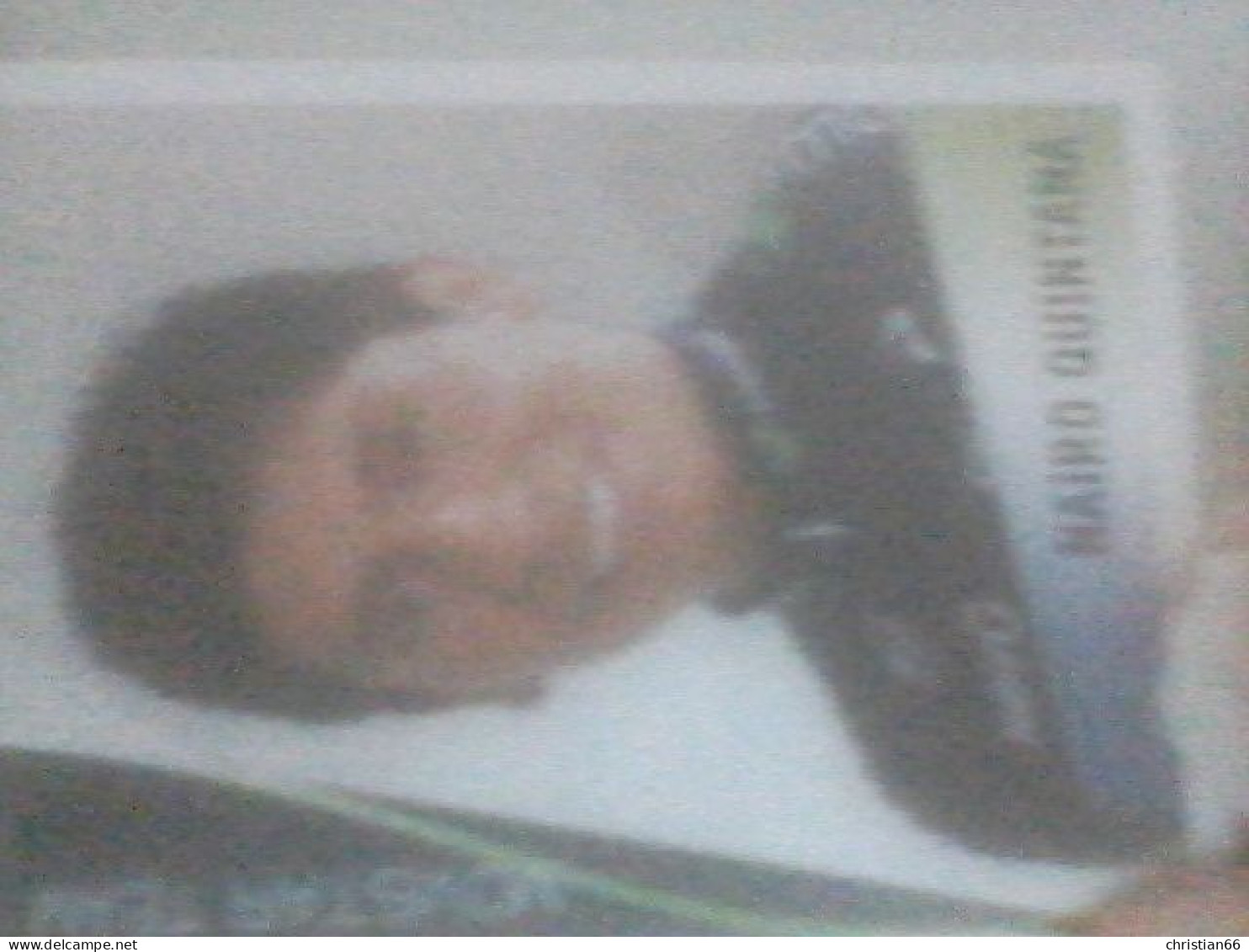 CYCLISME 2013 : STICKER NAIRO QUINTANA   (panini SPRINT ) - Franse Uitgave