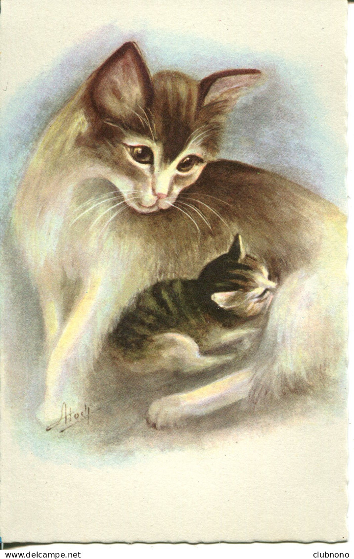 CPA -  CARTE ILLUSTREE - CHATS ((301/3) - Chats