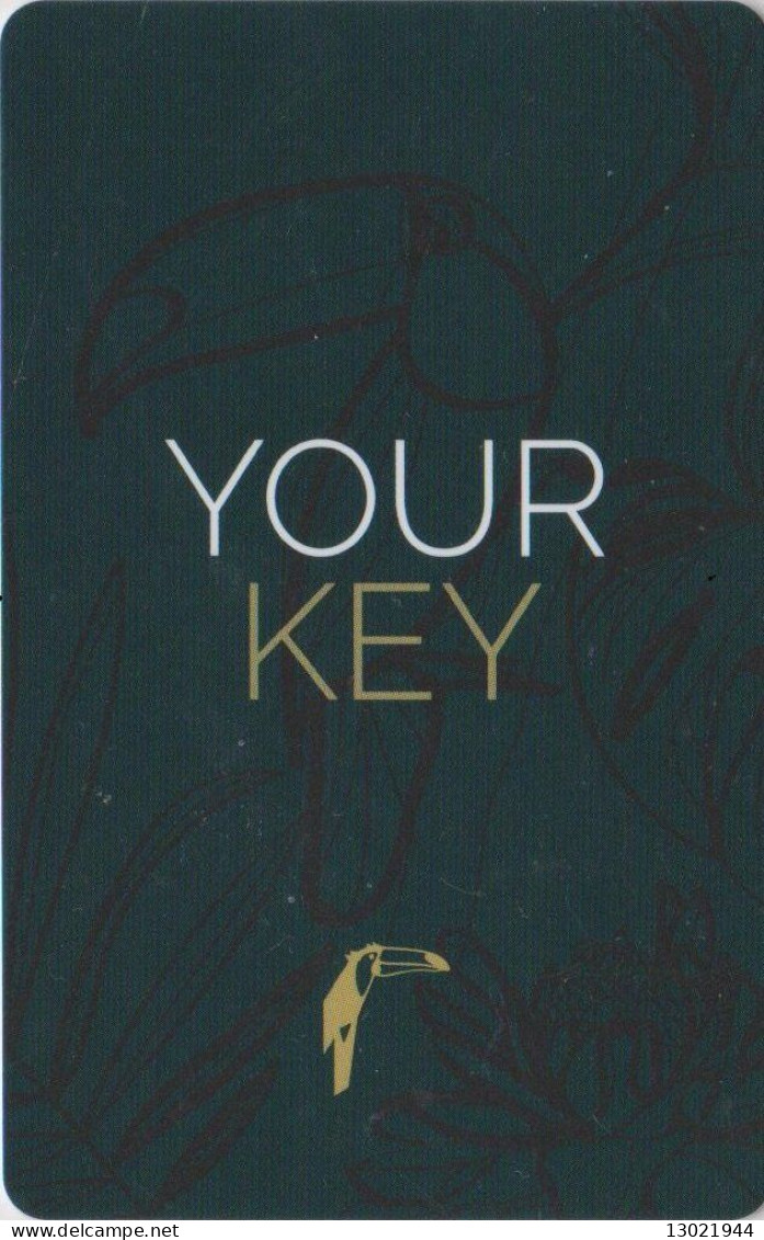 OLANDA KEY HOTEL Van Der Valk Your Key - Cartes D'hotel