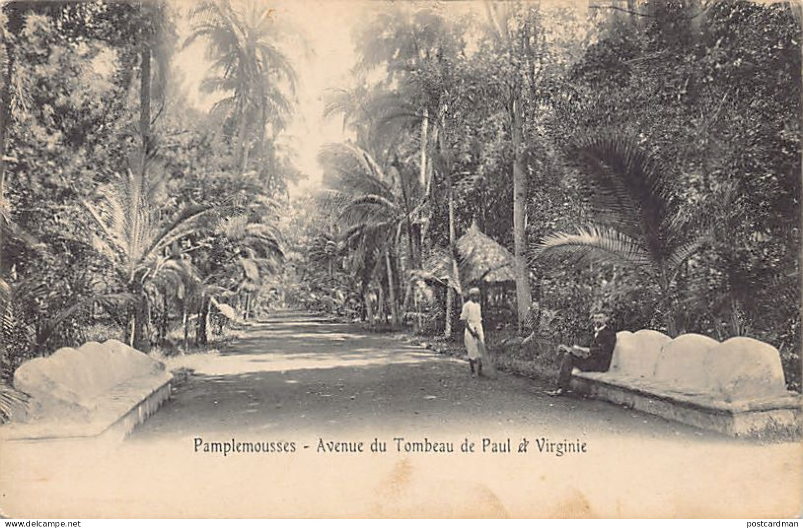 Mauritius - PAMPLEMOUSSES - Avenue Du Tombeau De Paul Et Virginie - Ed. Inconnu  - Mauritius