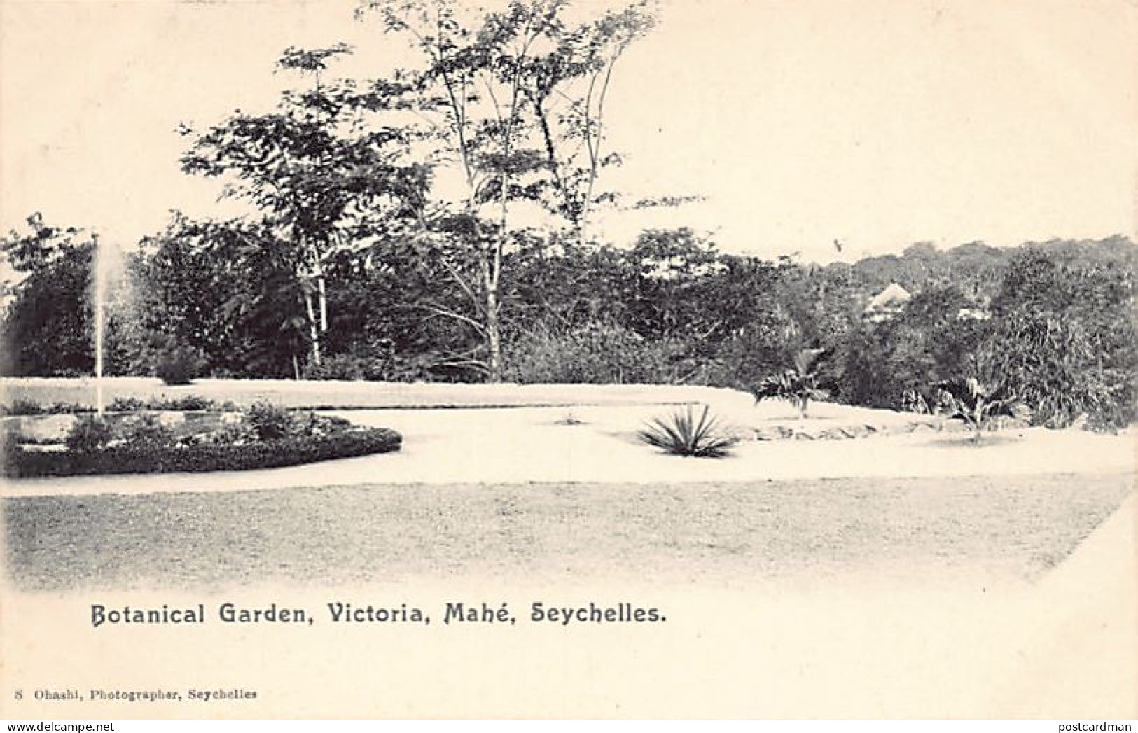 Seychelles - VICTORIA Mahé - Botanic Garden - Publ. S. Ohashi - Seychelles