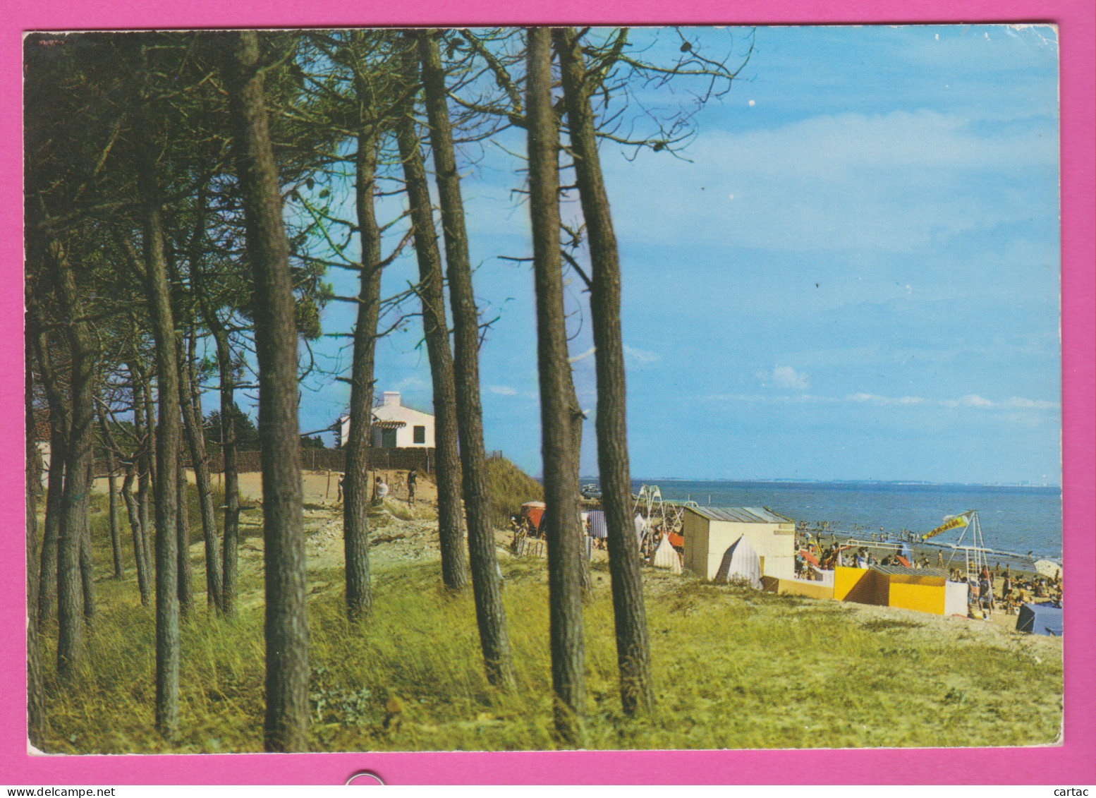 D85 - LA TRANCHE SUR MER - LA GRIÈRE - LES PINS ET LA PLAGE DE LA GRIÈRE - CPM Grand Format  - La Tranche Sur Mer