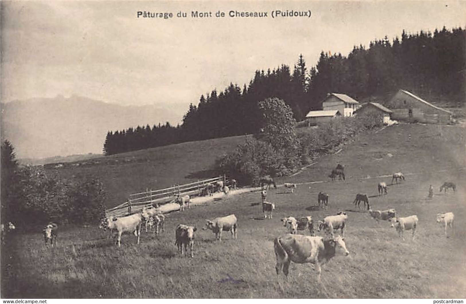 PUIDOUX (VD) Pâturage Du Mont De Cheseaux - Ed. J. Latt  - Puidoux