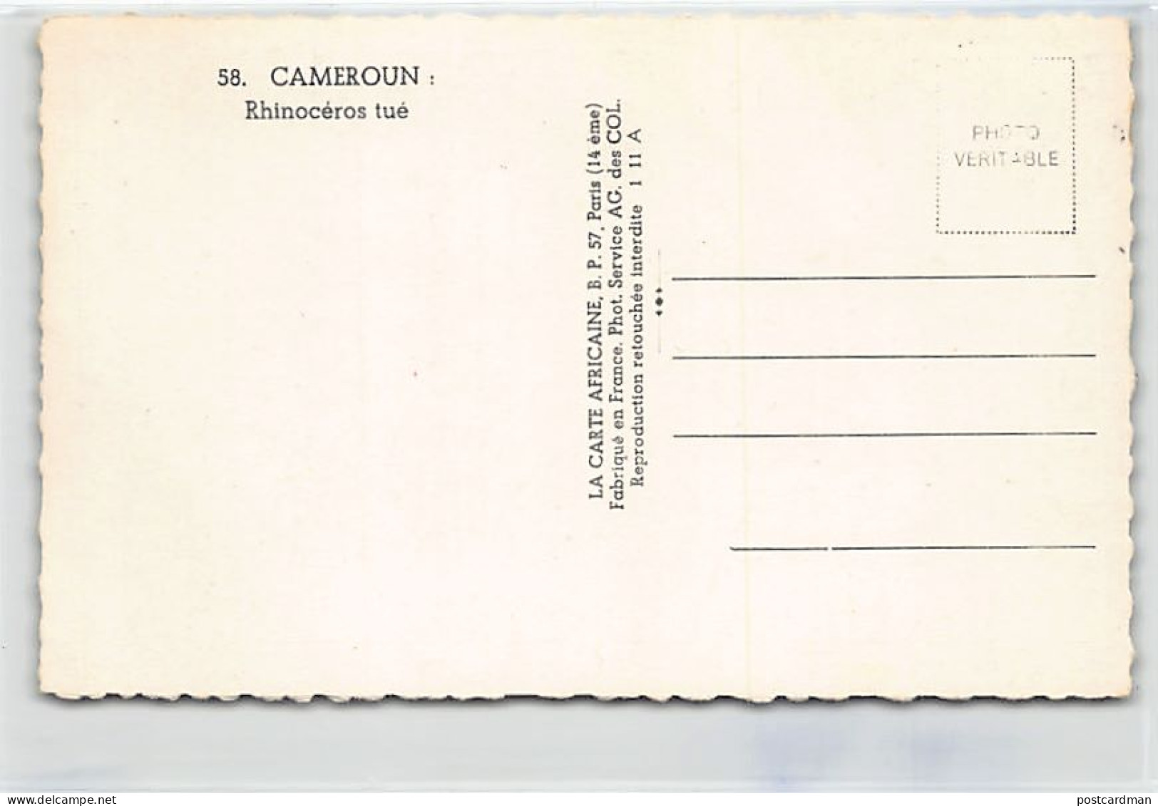 Cameroun - Rhinocéros Tué - Ed. La Carte Africaine 58 - Cameroon
