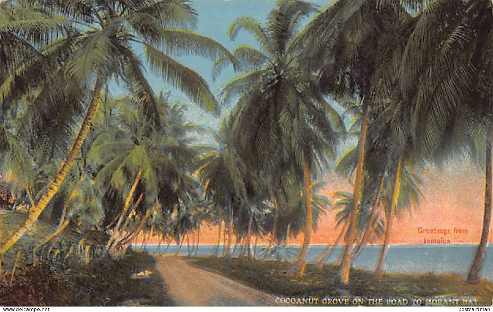 Jamaica - Cocoanut Grove On The Road To Morant BayA. Duperly & Son - Publ. 40609  - Giamaica