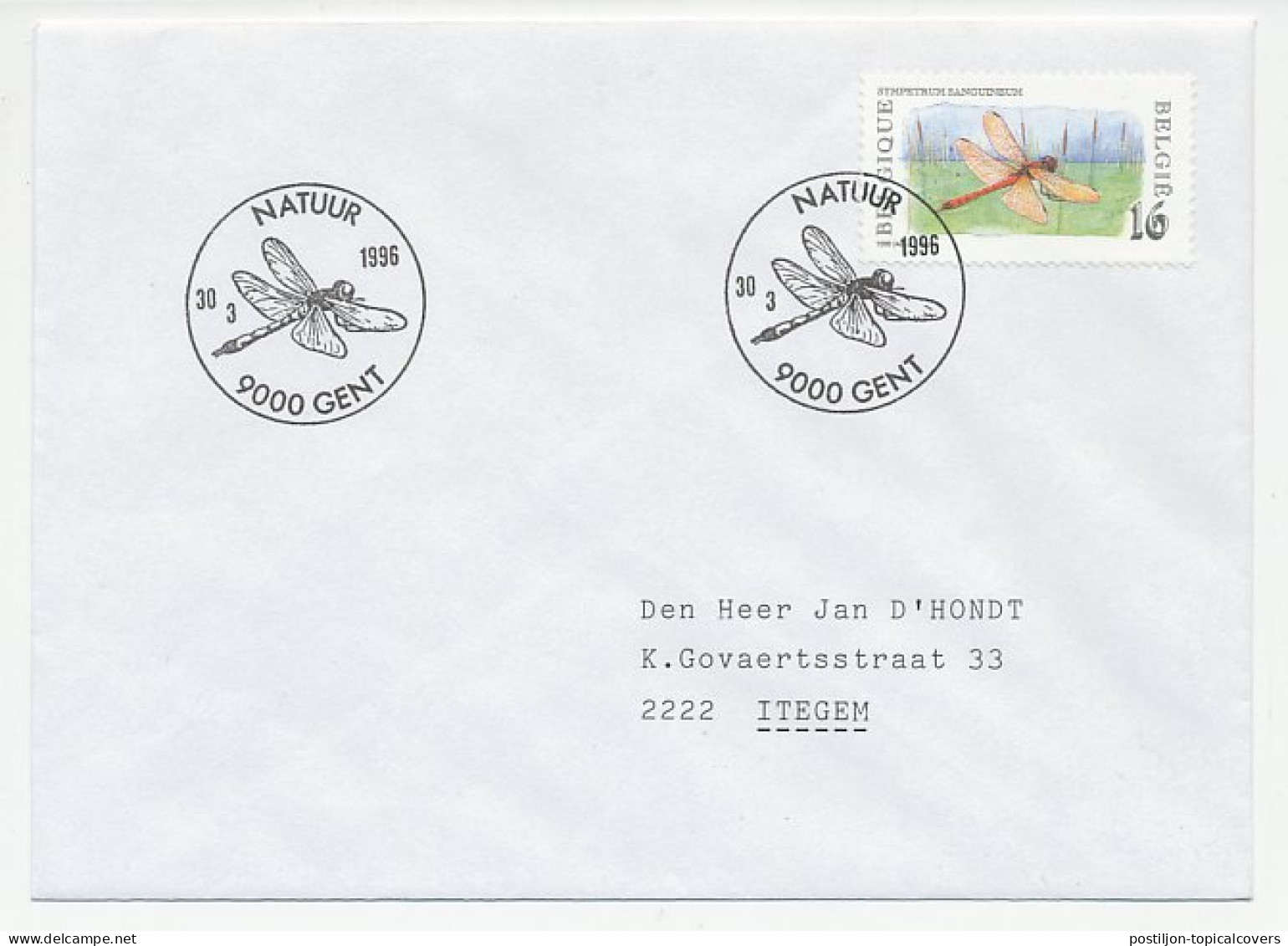 Cover / Postmark Belgium 1996 Dragonfly  - Sonstige & Ohne Zuordnung