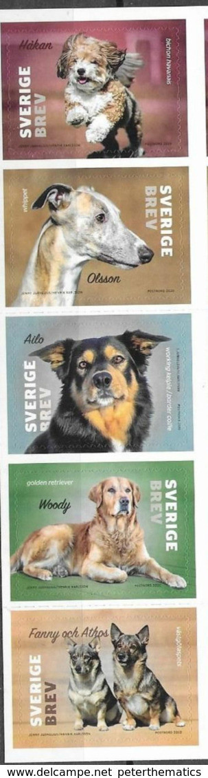 SWEDEN, 2020, MNH, DOGS,5v Ex. BOOKLET - Honden