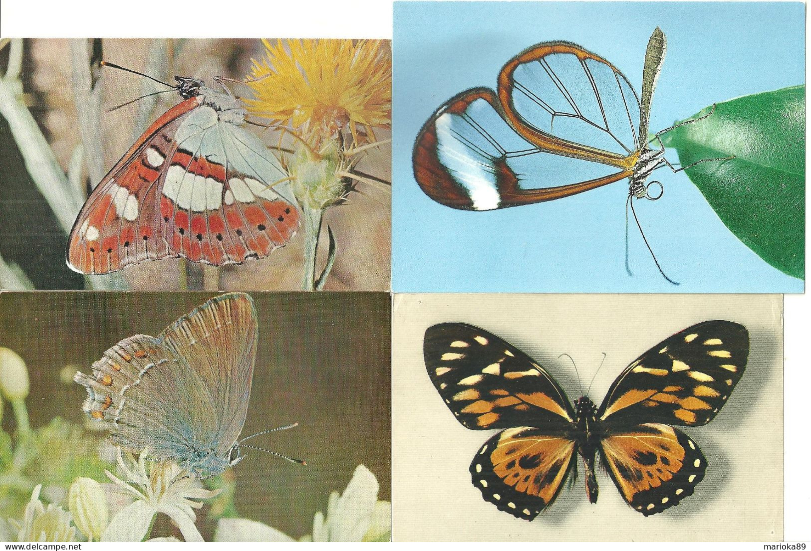 LOT 8 CPA/CPM PAPILLONS - Mariposas