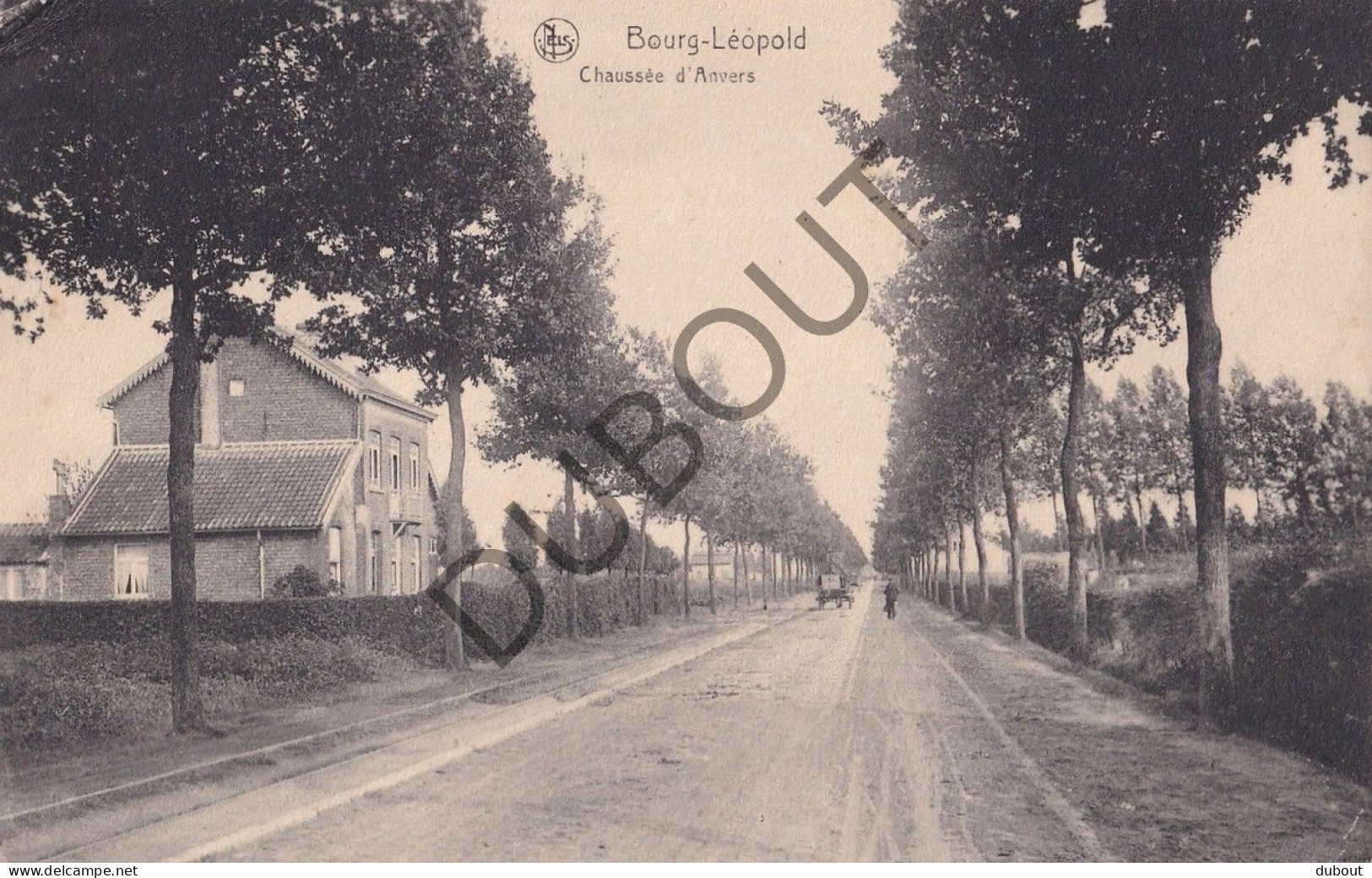 Postkaart - Carte Postale - Bourg-Léopold - Chaussée D'Anvers   (C5905) - Leopoldsburg