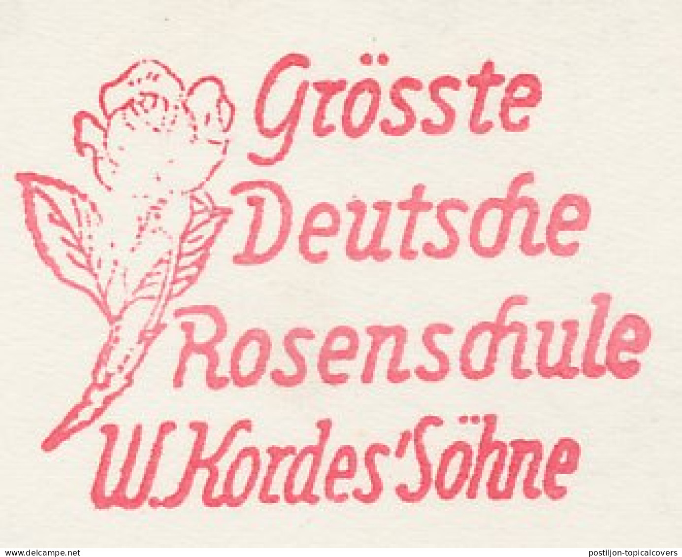 Meter Card Germany 1958 Flower - Rose - Altri & Non Classificati