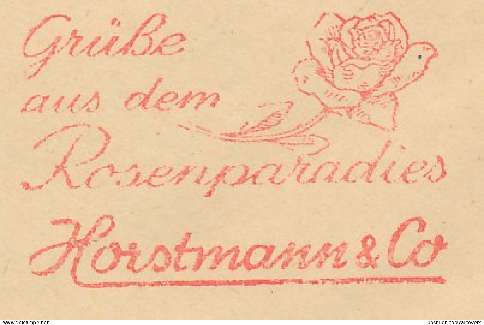 Meter Cover Germany 1974 Flower - Rose - Other & Unclassified