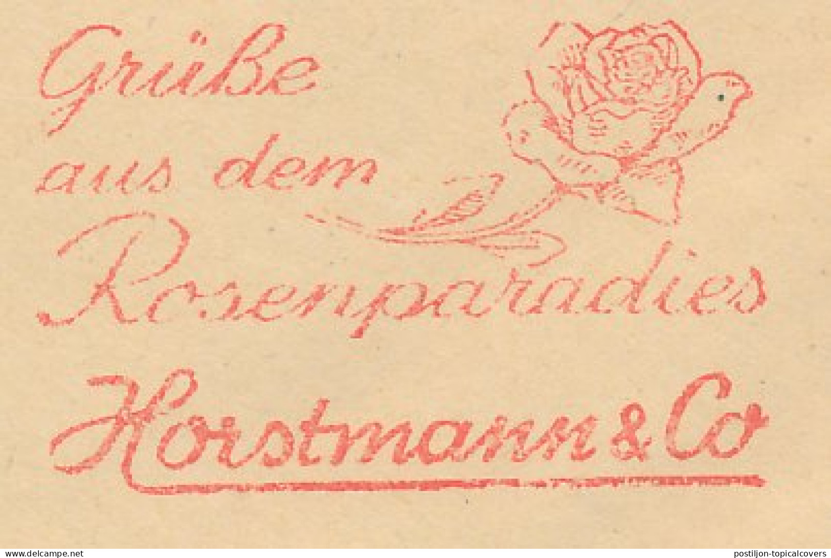 Meter Cover Germany 1974 Flower - Rose - Autres & Non Classés