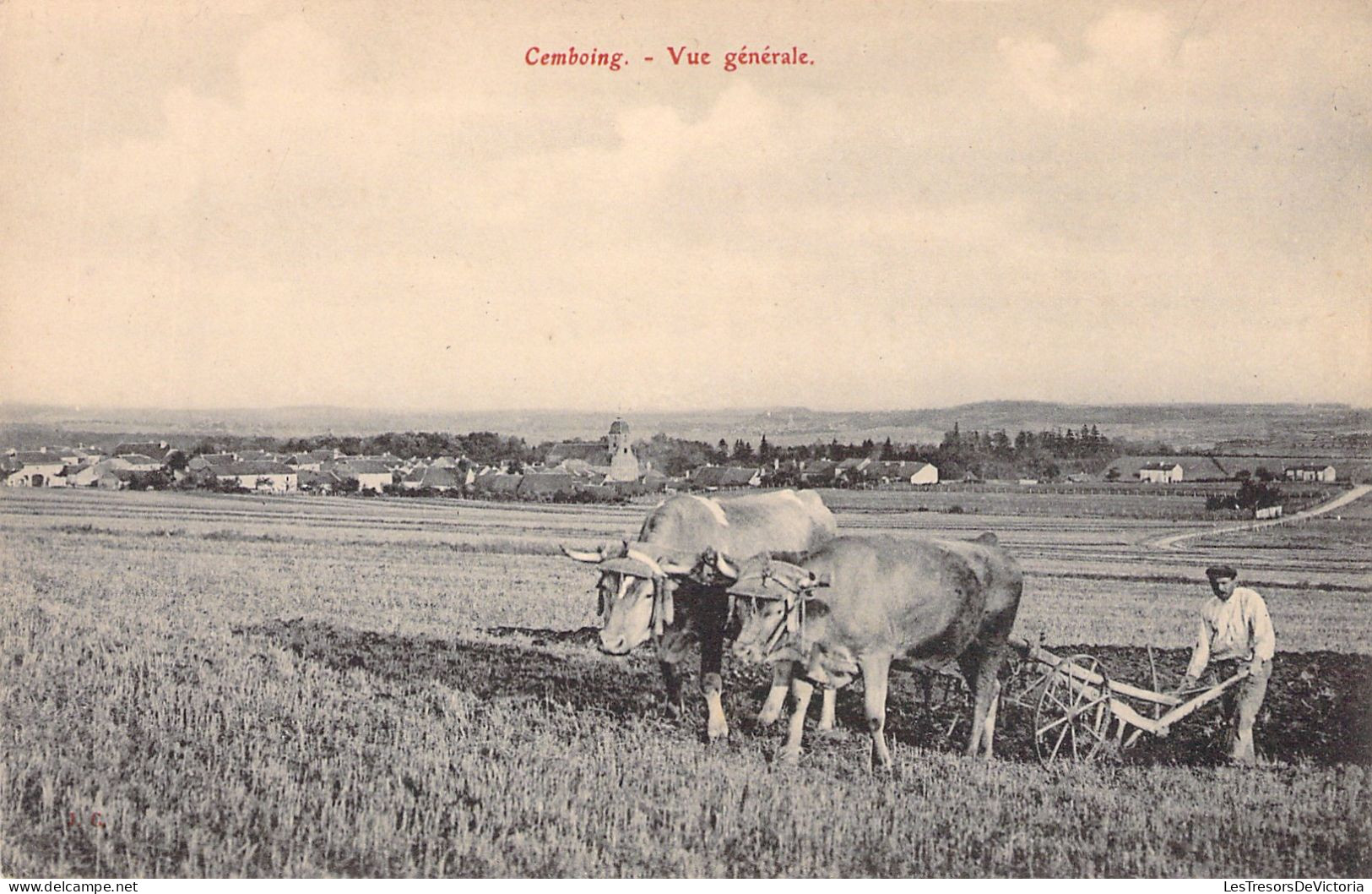 FRANCE - Cemboing - Vue Generale - Attelage De Boeufs - Carte Postale Ancienne - Andere & Zonder Classificatie