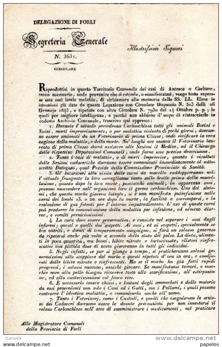 DELEGAZIONE DI FORLI' ISTRUZIONE PER I CASI DI ANTRACE O CARBONE PER GLI ANIMALI SUINI E BOVINI - Decretos & Leyes