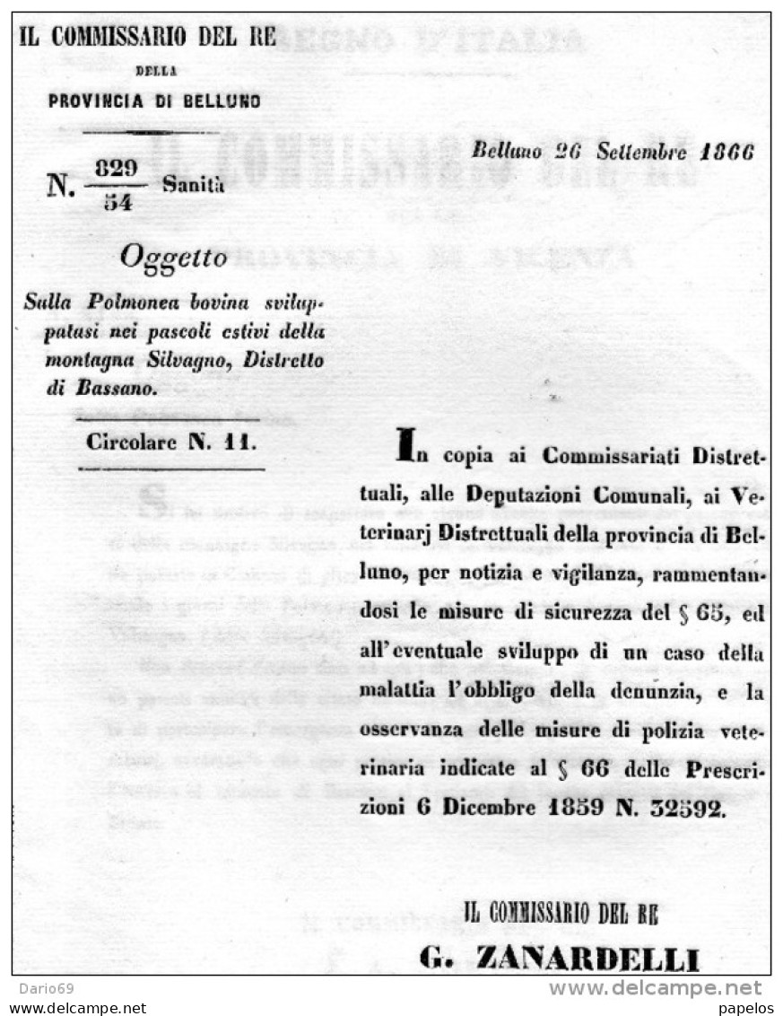 1866 BELLUNO -  OBBLIGO DI DENUNCIA MALATTIA POLMONEA BOVINA - Decreti & Leggi