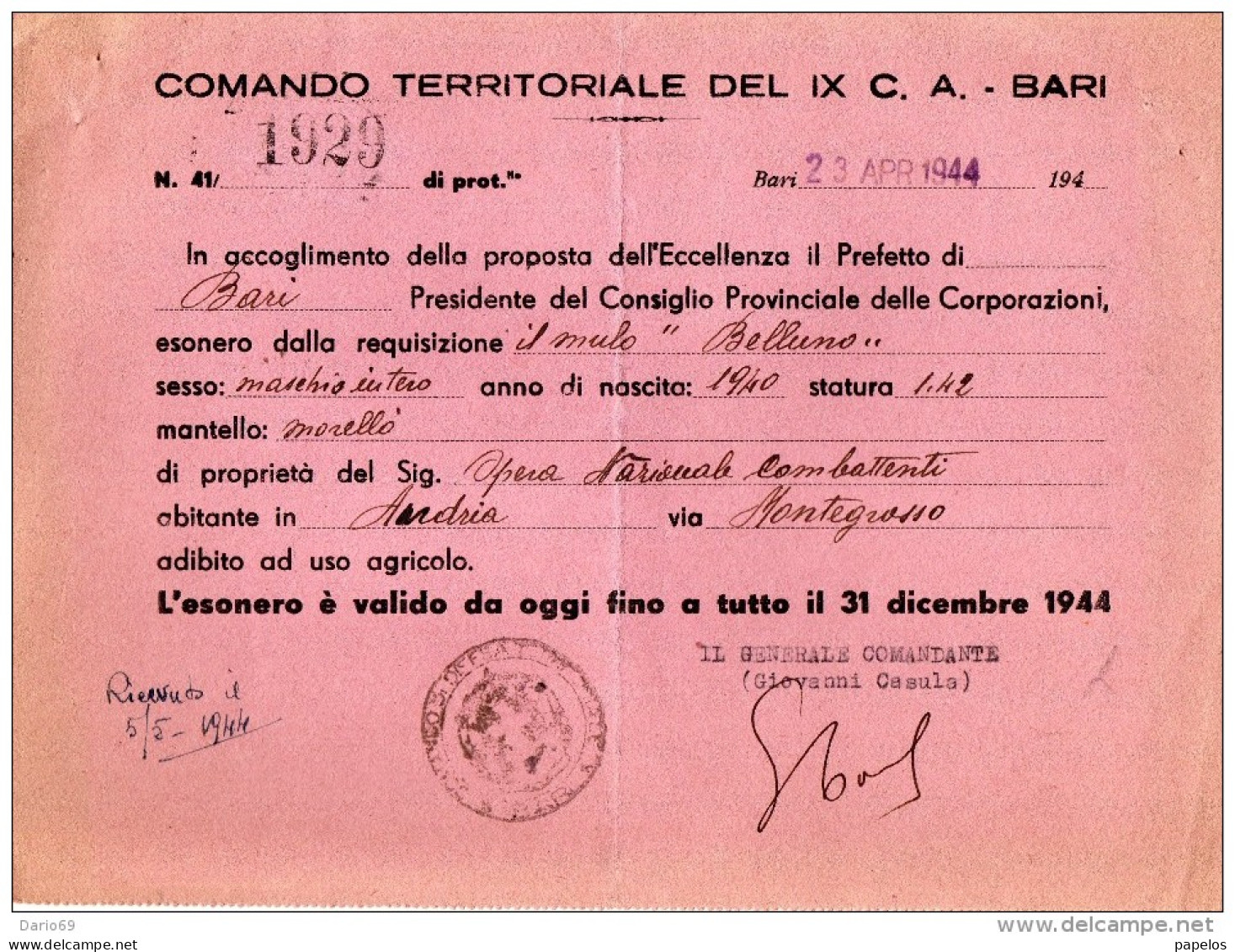 1944 BARI - ESONERO REQUISIZIONE MULO - Historische Dokumente