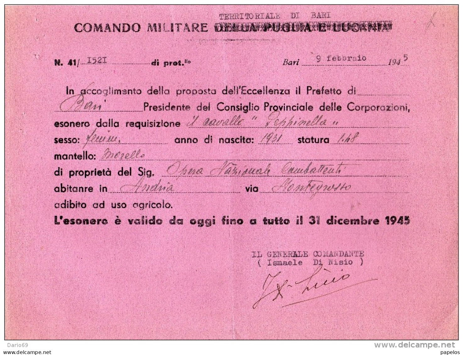 1945 BARI - ESONERO DALLA REQUISIZIONE DEI CAVALLI - Historische Dokumente