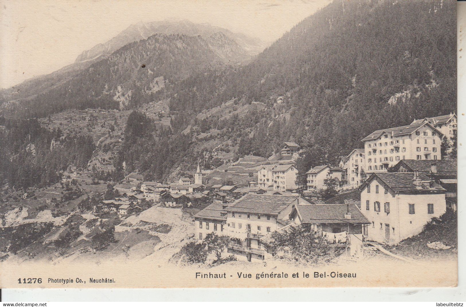 FINHAUT - Vue Générale Et Le Bel Oiseau - Finhaut