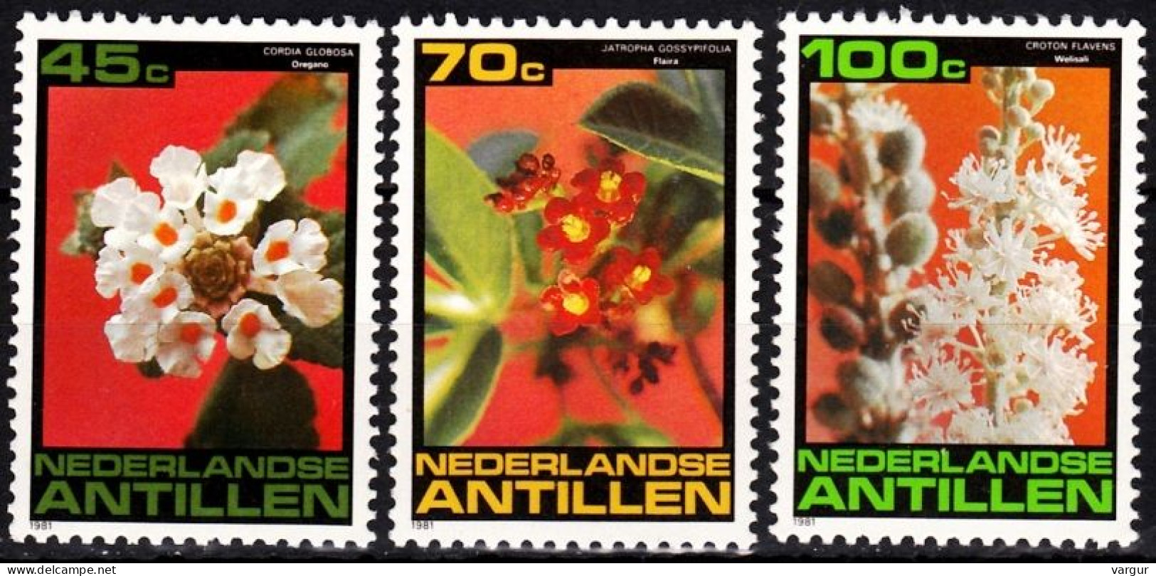 NETHERLANDS ANTILLES 1981 FLORA Plants: Flowers. Complete Set, MNH - Autres & Non Classés