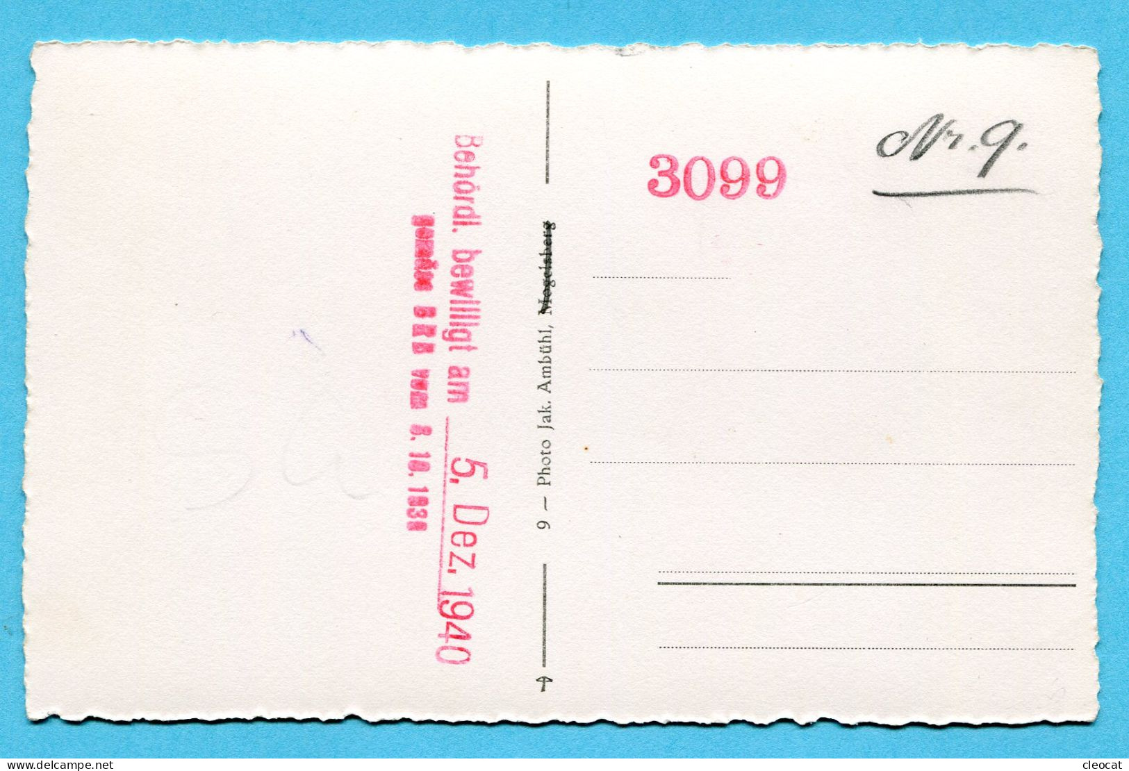 Lichtensteig Nr. 3099 - Behördl. Bewilligt Am 5. Dezember 1940 - Lichtensteig