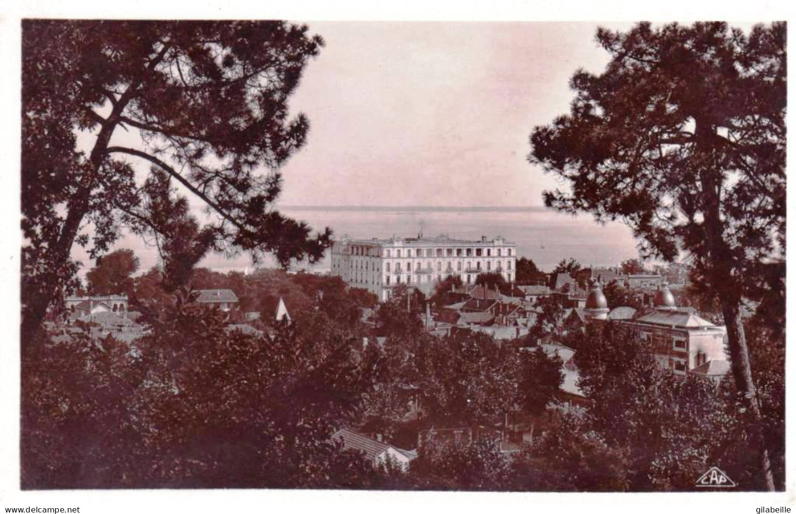 33 -  Gironde -  ARCACHON -   A Travers Les Pins - Carte Glacée - Arcachon