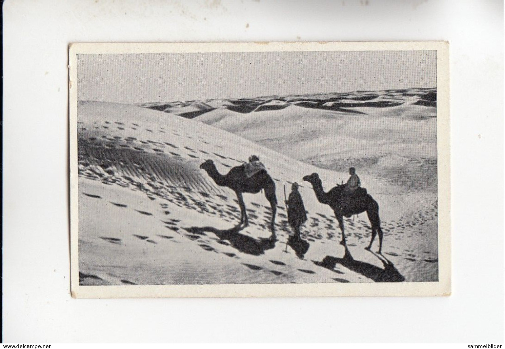 Mit Trumpf Durch Alle Welt Aus Fremden Ländern Sahara Landschaft  B Serie 19 # 3 Von 1933 - Sigarette (marche)