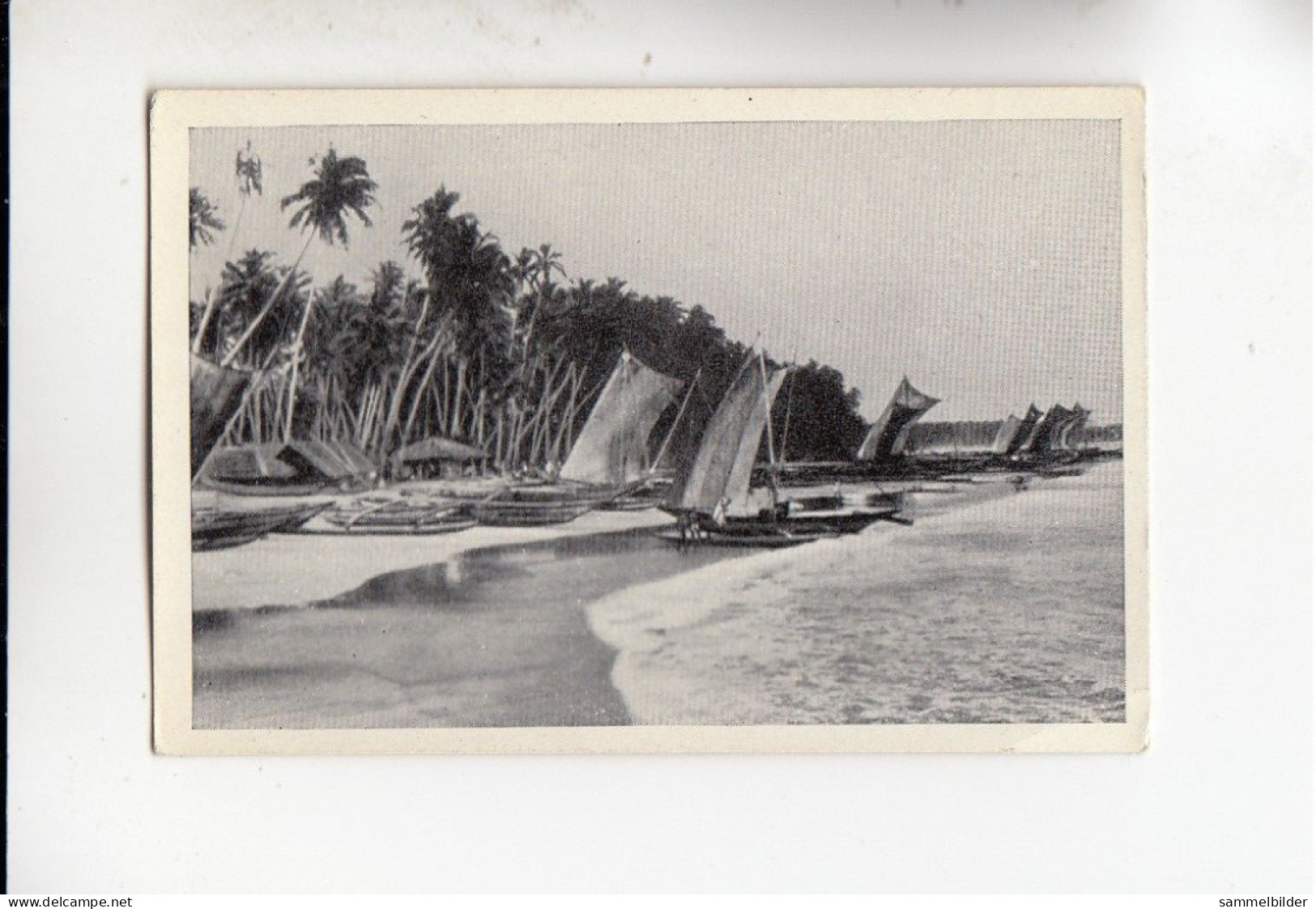 Mit Trumpf Durch Alle Welt Aus Fremden Ländern Ceylon Perlfischer  B Serie 19 # 5 Von 1933 - Autres Marques