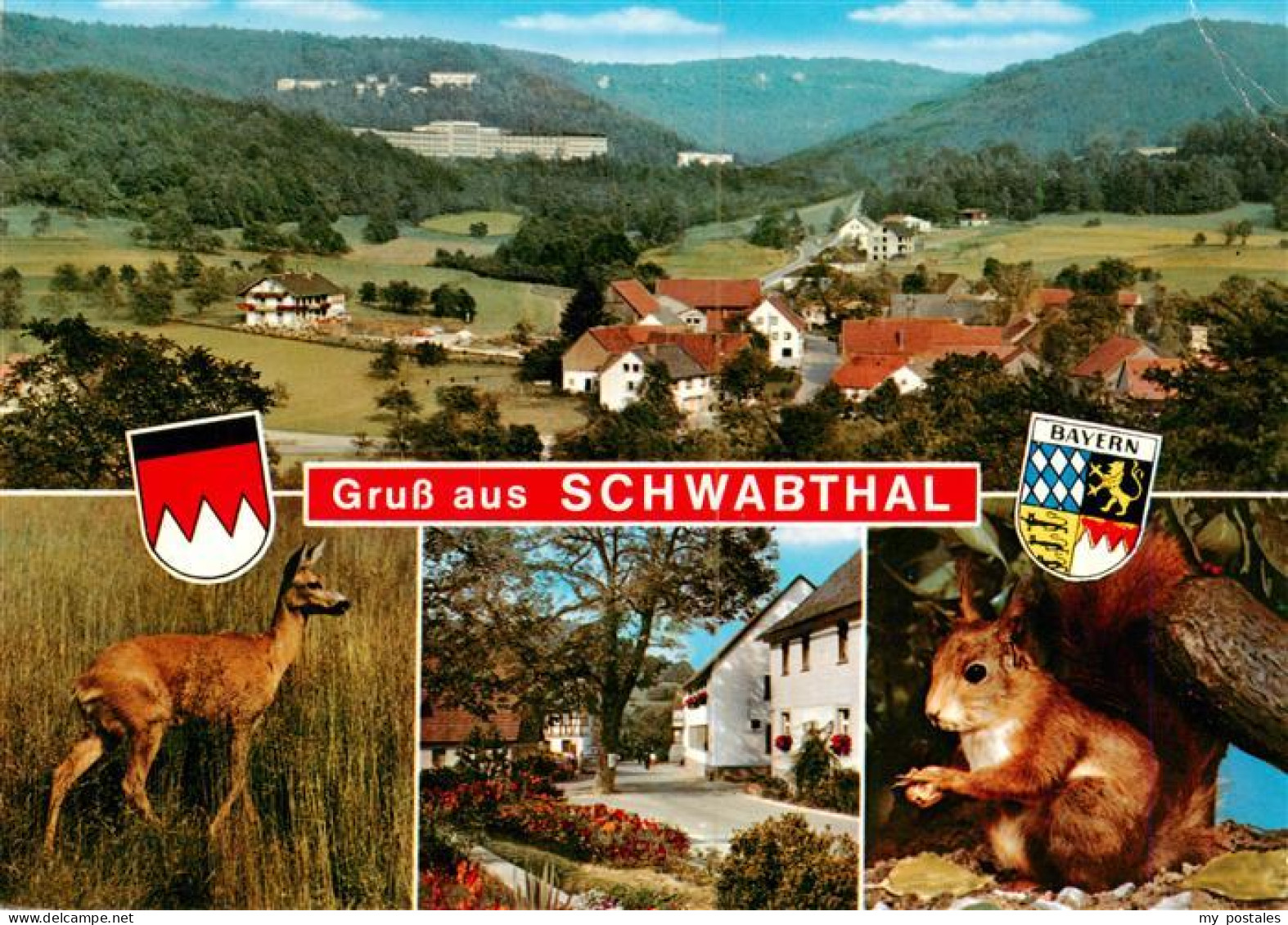 73936730 Schwabthal Panorama Reh Ortsmotiv Eichhoernchen - Staffelstein