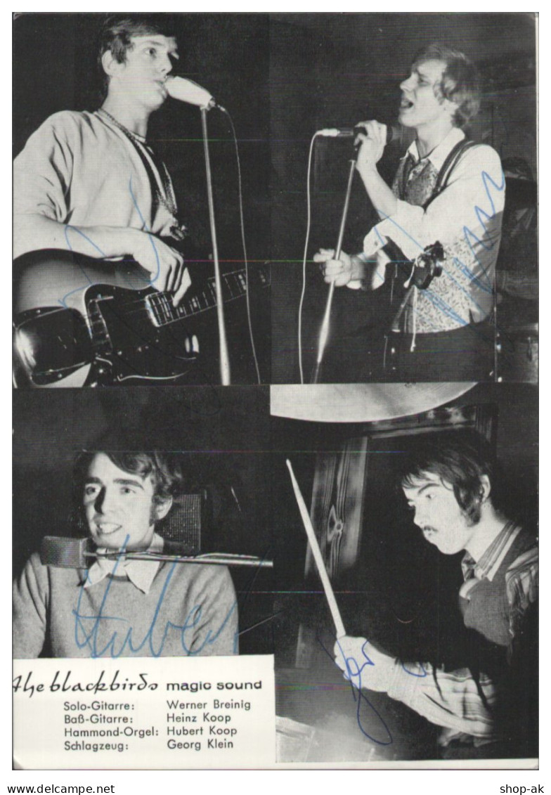 Y28924/ The Blackbirds  Beat- Popgruppe  Autogramm Autogrammkarte 60er Jahre - Handtekening