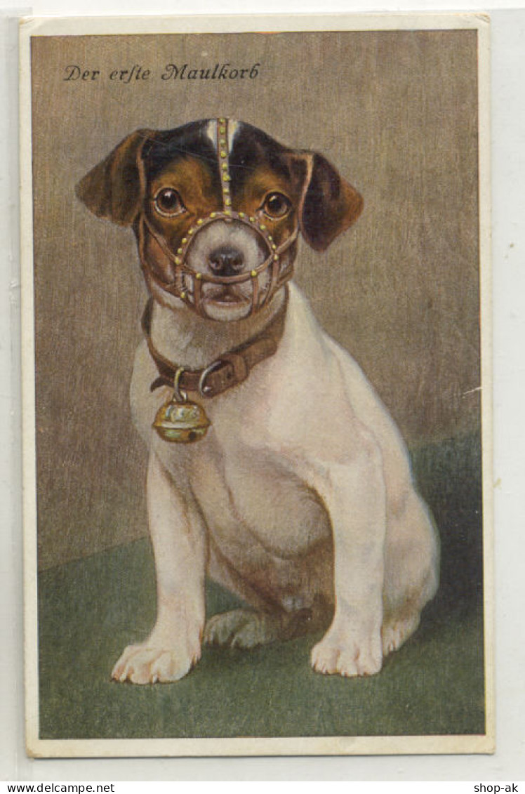 Z3316/ Hund Mit Maulkorb Schöne Künstler AK Ca.1912 - Cani