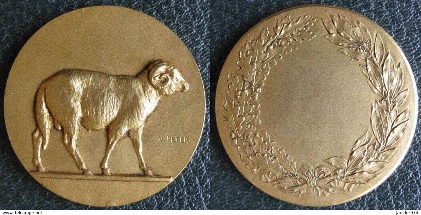 Médaille Art Deco En Bronze Bélier Mouton, Par Peter Victor - Otros & Sin Clasificación