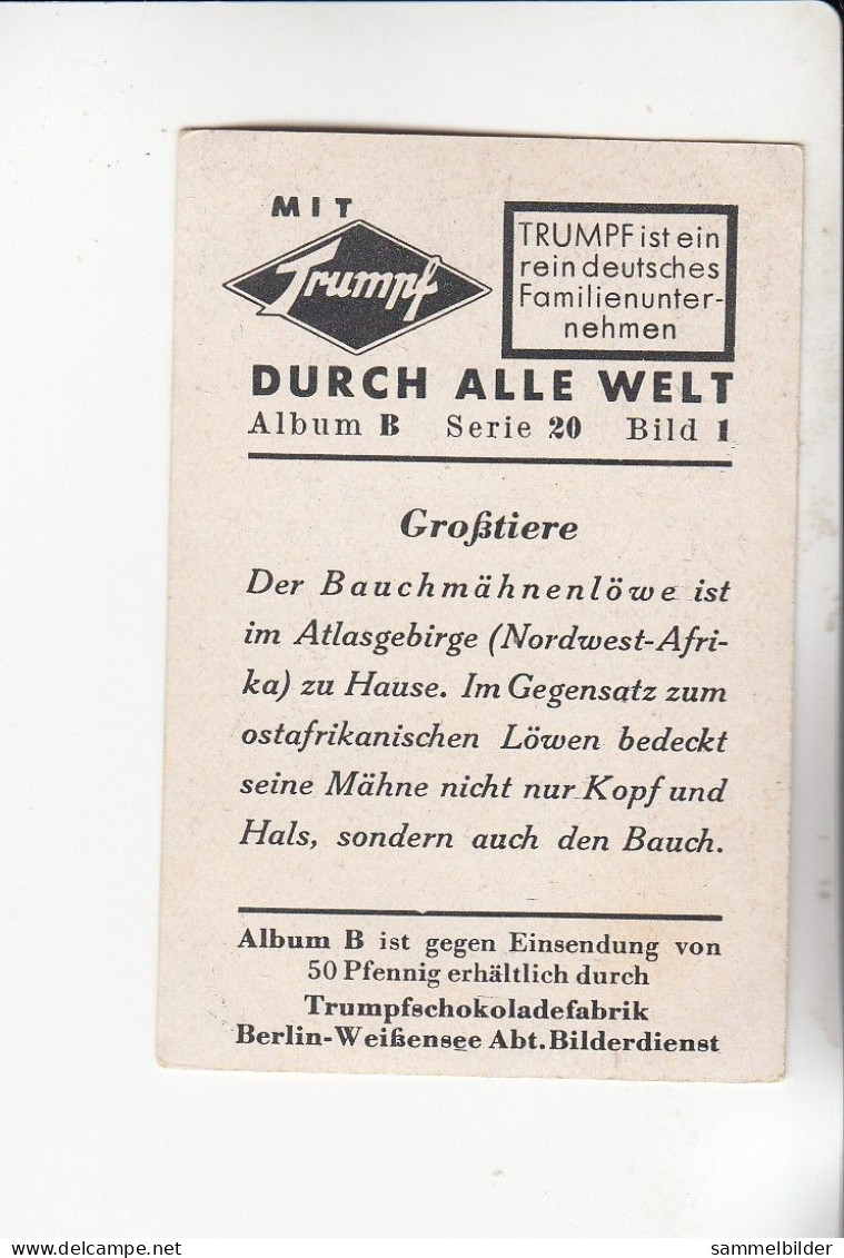 Mit Trumpf Durch Alle Welt  Großtiere Der Bauchmähnenlöwe B Serie 20 # 1 Von 1933 - Andere Merken