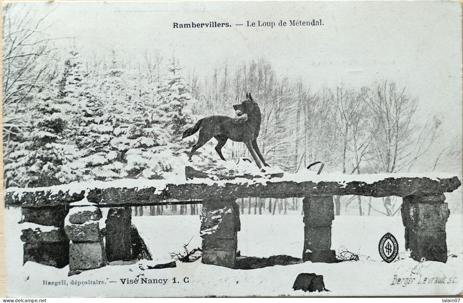 C. P. A. : 88 : RAMBERVILLERS : Le Loup De Métendal, Sous La Neige, En 1917 - Rambervillers