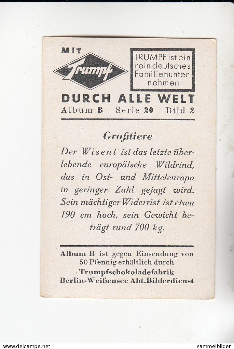 Mit Trumpf Durch Alle Welt  Großtiere Der Wisent  B Serie 20 # 2 Von 1933 - Other Brands