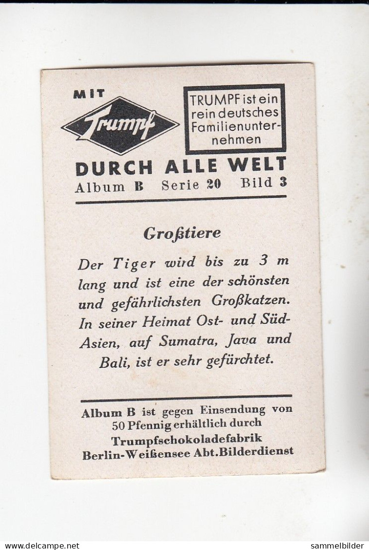 Mit Trumpf Durch Alle Welt  Großtiere Der Tiger  B Serie 20 # 3 Von 1933 - Sigarette (marche)