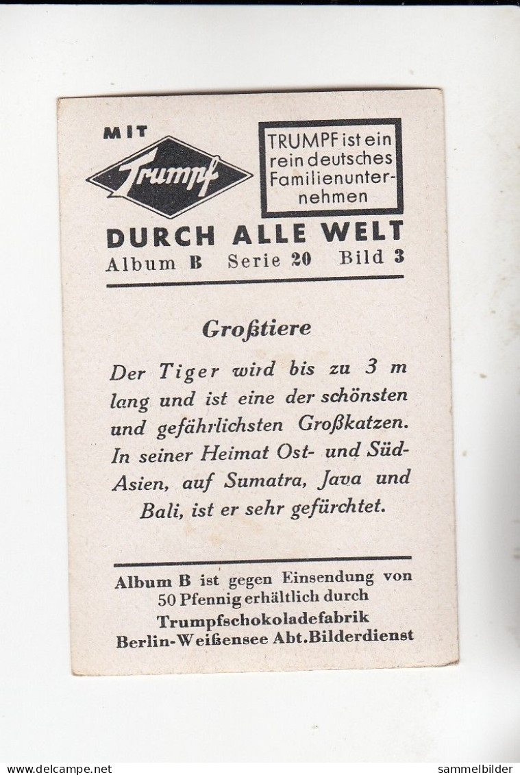 Mit Trumpf Durch Alle Welt  Großtiere Der Tiger  B Serie 20 # 3 Von 1933 - Zigarettenmarken